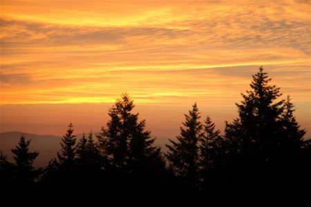 Sunset Harp Guitar Retreat